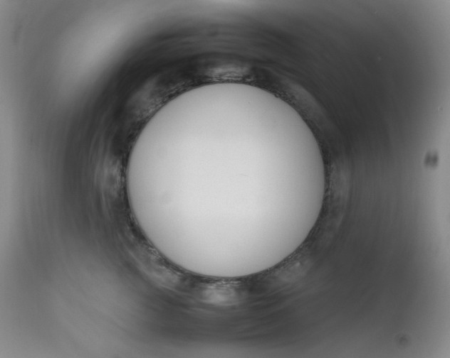 X0000112210761200908211518