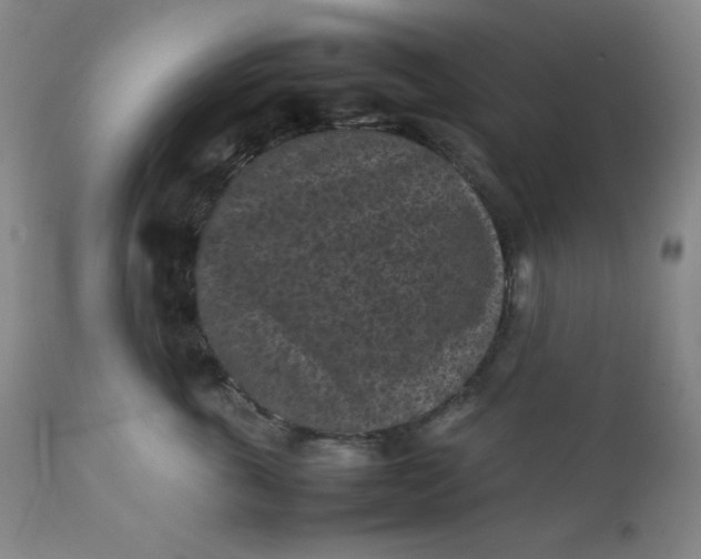 X0000112210763200908211518