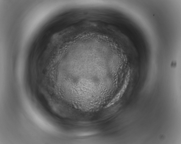 X0000112210765200908211518