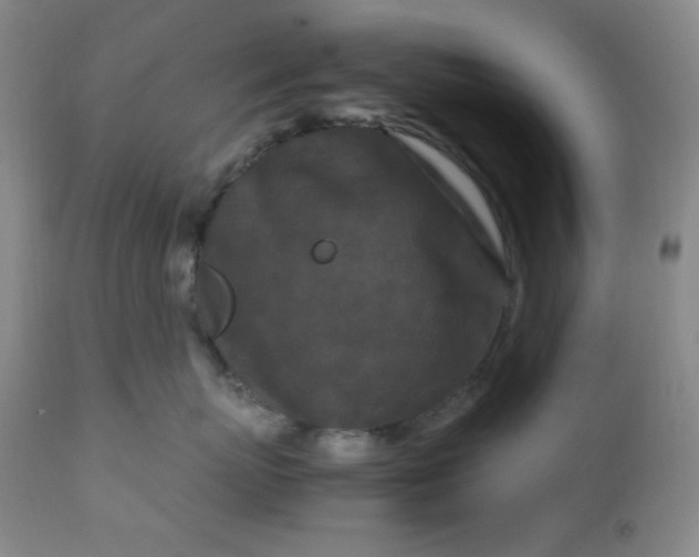 X0000112210767200908211518