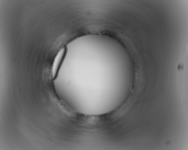 X0000112210768200908211518