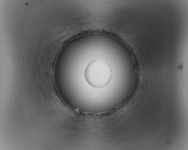 X0000112210769200908211517