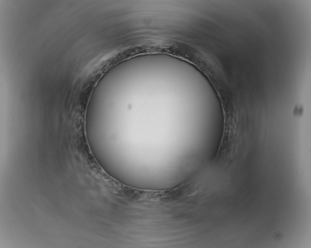 X0000112210773200908211517