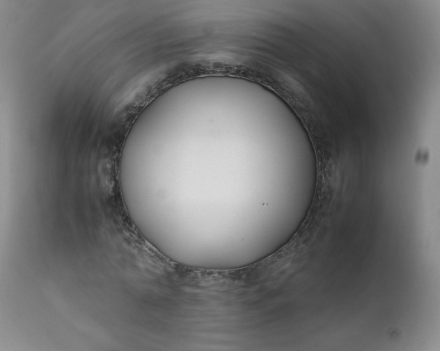 X0000112210774200908211517