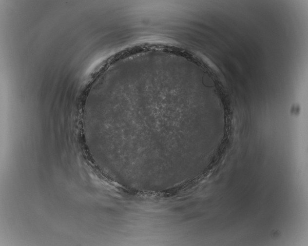 X0000112210775200908211517