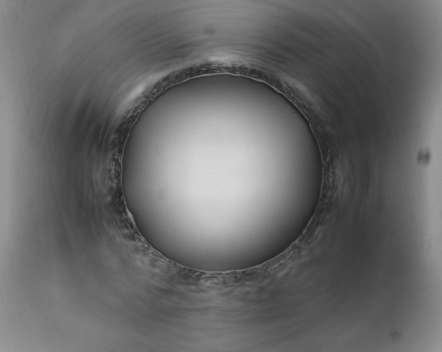 X0000112210776200908211517