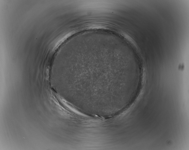 X0000112210777200908211517