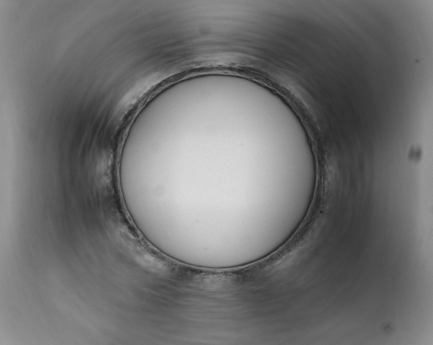 X0000112210778200908211517