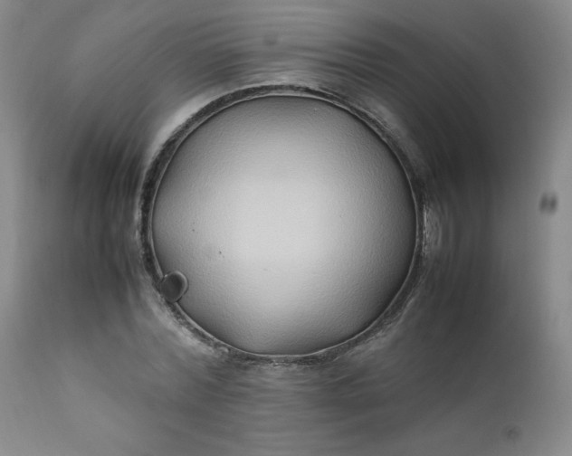 X0000112210780200908211517