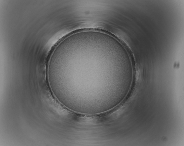 X0000112210781200908211517