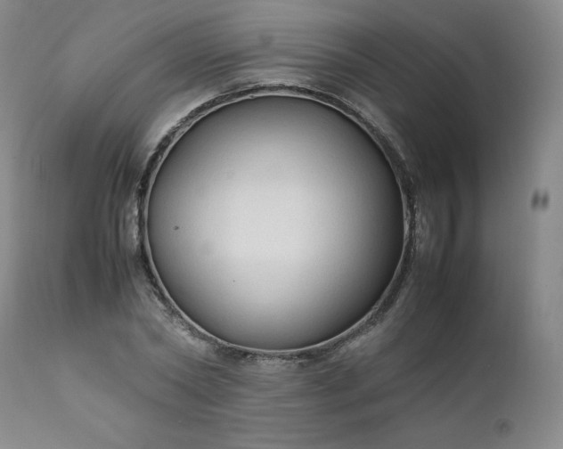 X0000112210782200908211517