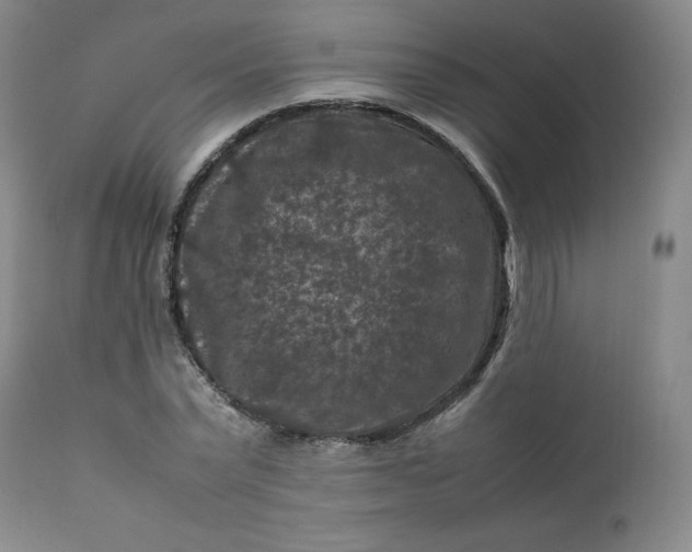 X0000112210783200908211517