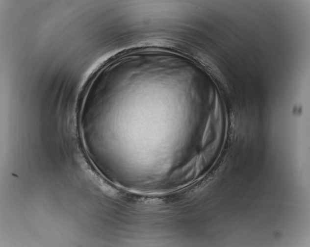 X0000112210784200908211517