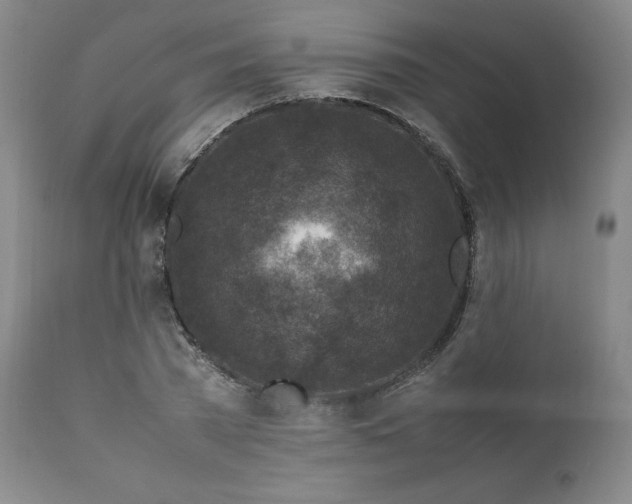 X0000112210785200908211517