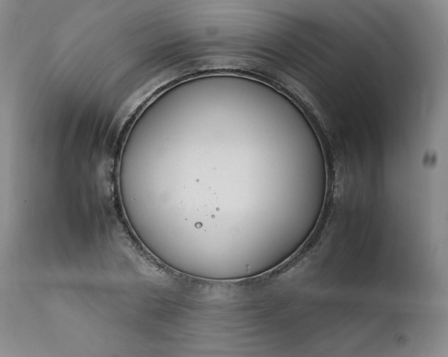 X0000112210786200908211517