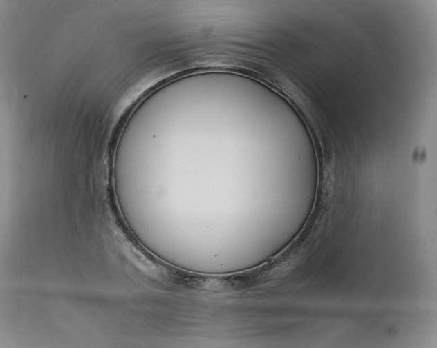 X0000112210787200908211517