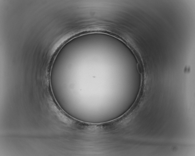 X0000112210789200908211517