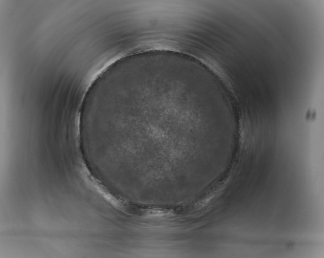 X0000112210790200908211517