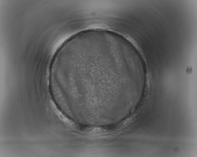 X0000112210791200908211517