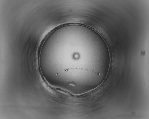 X0000112210792200908211517