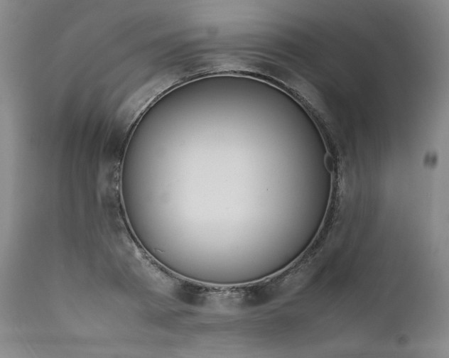 X0000112210793200908211517