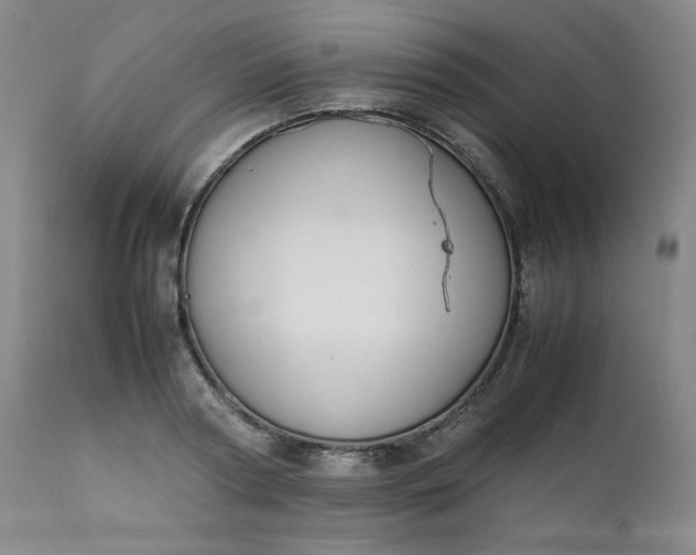 X0000112210794200908211517