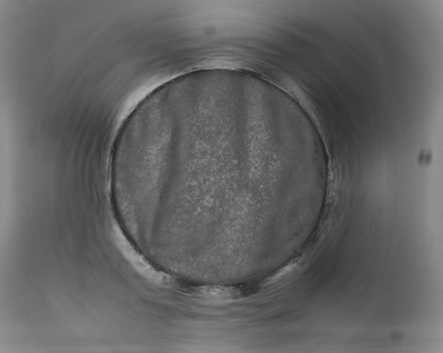 X0000112210795200908211517