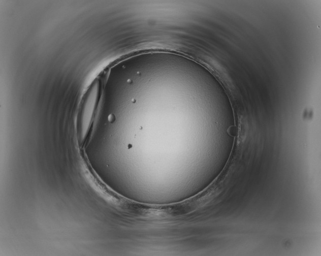 X0000112210796200908211517