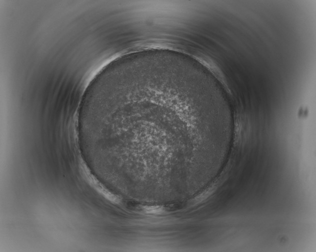 X0000112210798200908211517