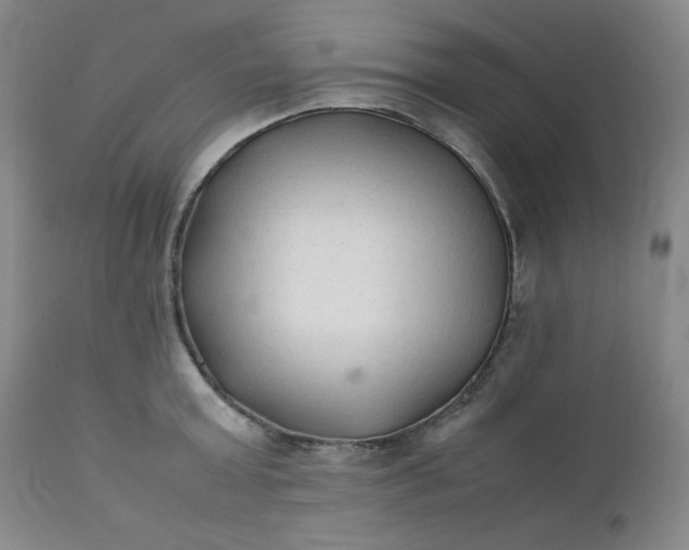 X0000112210803200908211517