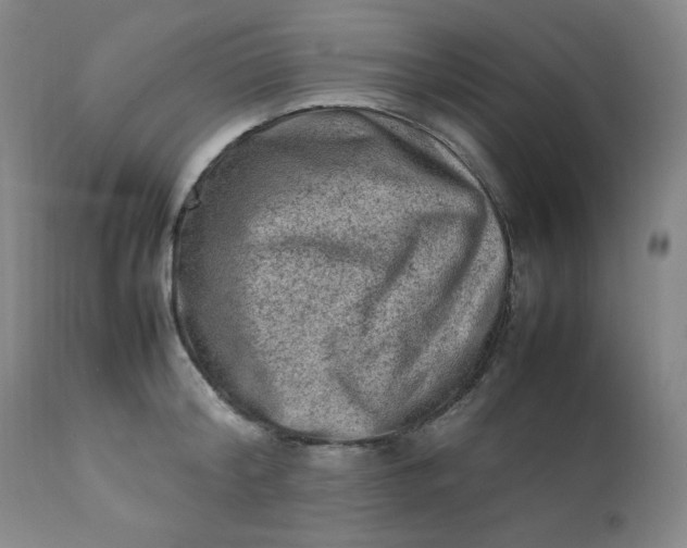 X0000112210804200908211517