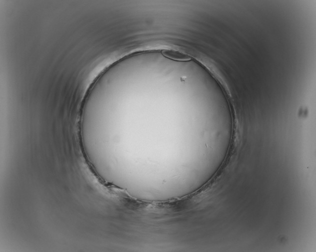 X0000112210805200908211517