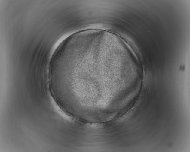 X0000112210808200908211517