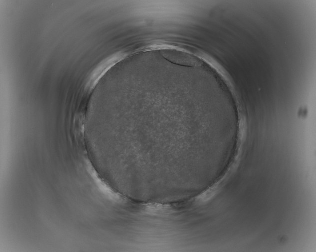 X0000112210809200908211517