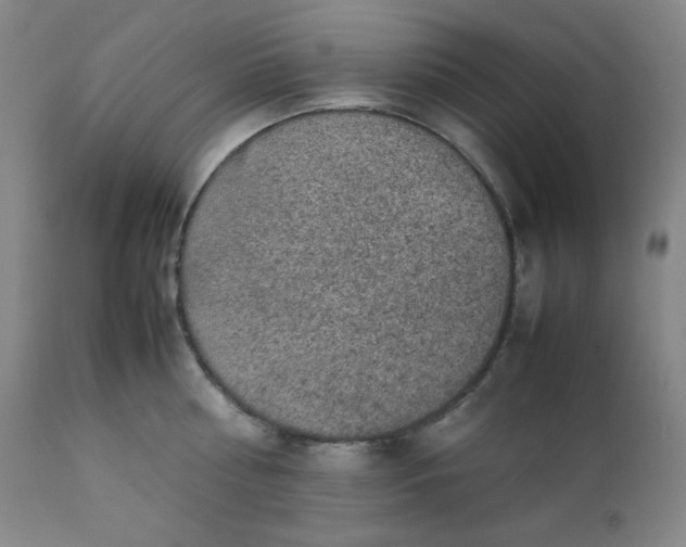 X0000112210810200908211517