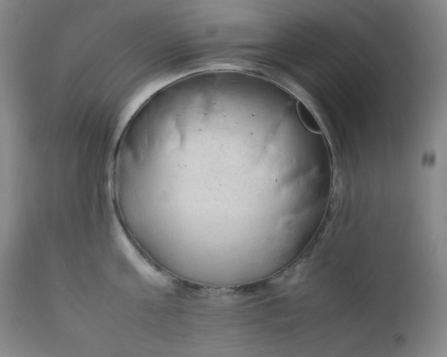 X0000112210811200908211517