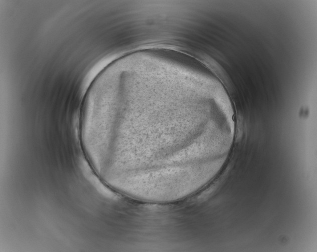 X0000112210812200908211517