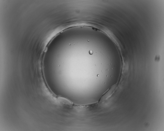 X0000112210813200908211517