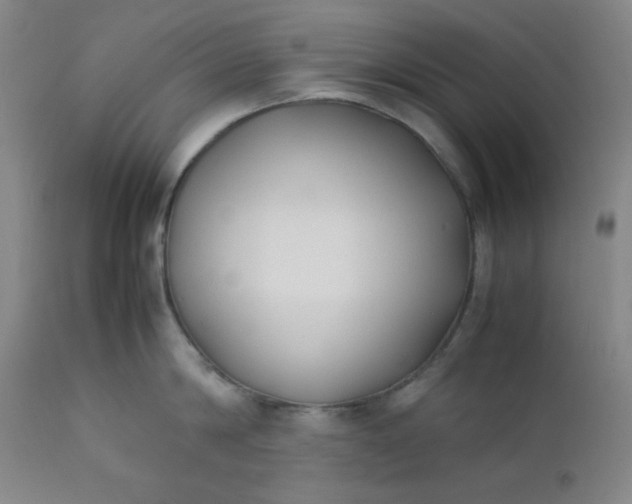 X0000112210814200908211517