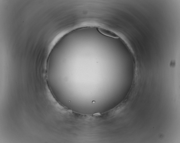 X0000112210815200908211517