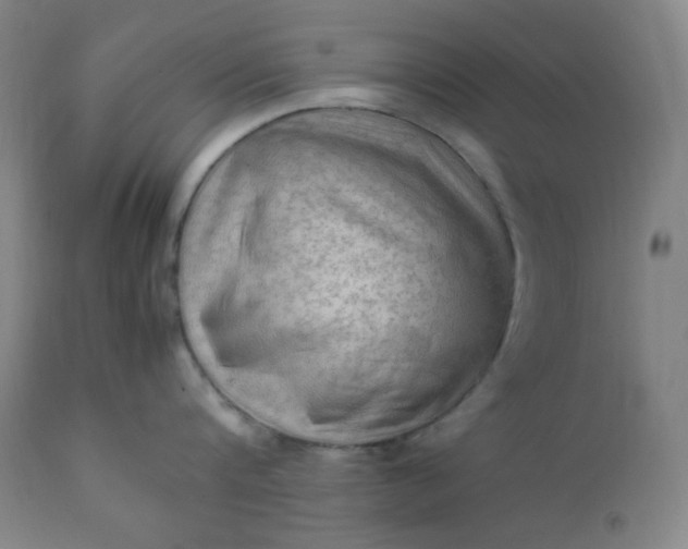 X0000112210816200908211517