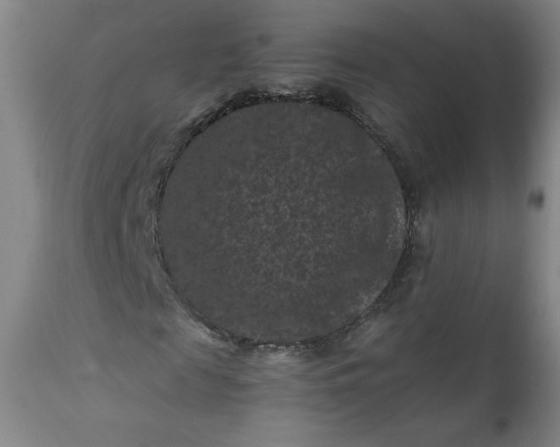 X0000112210817200908211516