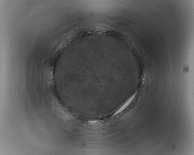 X0000112210818200908211516