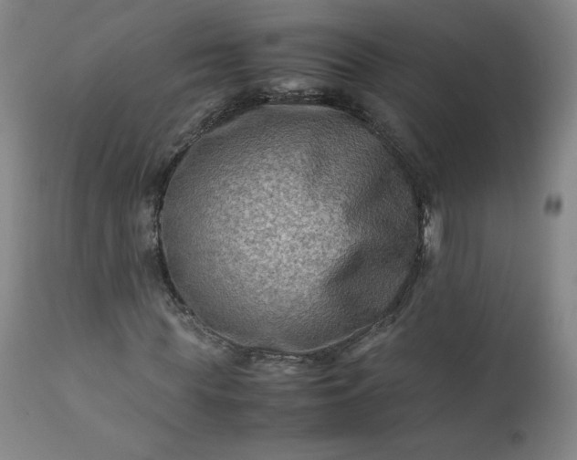 X0000112210819200908211516