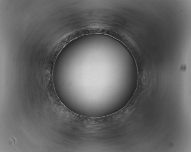 X0000112210821200908211516