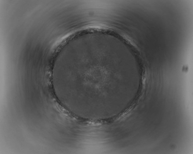 X0000112210822200908211516