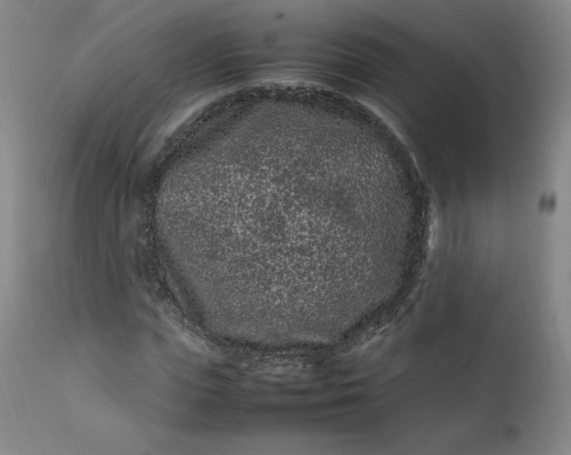 X0000112210823200908211516