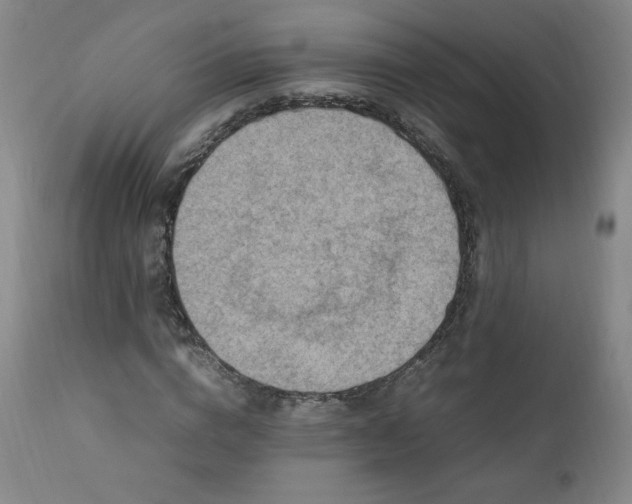 X0000112210824200908211516