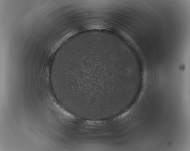 X0000112210825200908211516