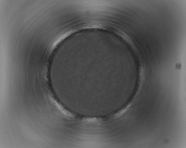 X0000112210826200908211516